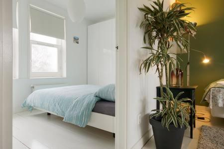Adam & Eve Apartment